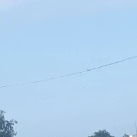 All công