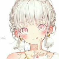 Y/N
