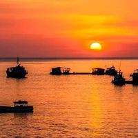 Các công ko ưa thụ