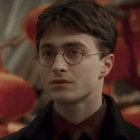 Harry Potter ⚡