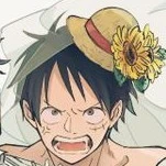 luffy