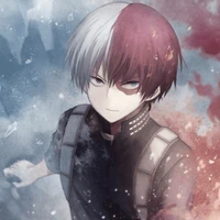 Todoroki Shotou