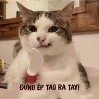 T/g thiểu năng🙉