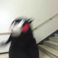 Mun (chó)