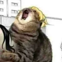 Matsuno Chifuyu