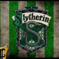 Hs Slytherin