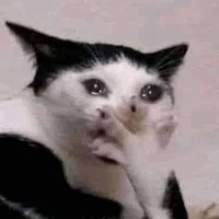 con tác giả quá lười