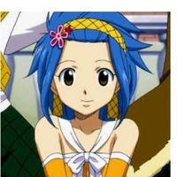 levy