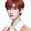 Đinh Trình Hâm