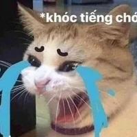 Kon tác giả:)