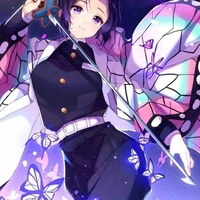 Kocho shinobu ( marinette )