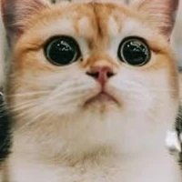 lại là tác giả siu cute hột me đây