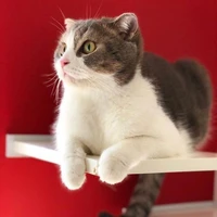 tác giả LEO