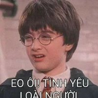 Tác giả (me)