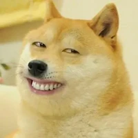 tác giả ngáo