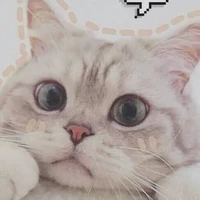 ♡Tg cute phô mai que♡