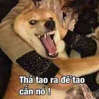 Thích Cắn Người