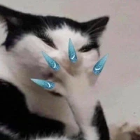 T/G