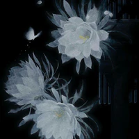 Nhân vật phụ