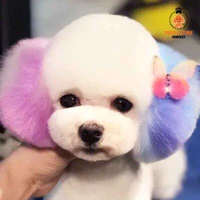 kiki