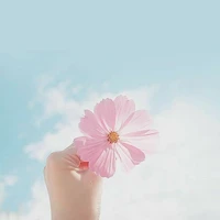 Tác Giả---Bụt