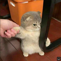Tác giả