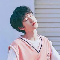 Hạ Tuấn Lâm