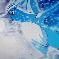 Articuno (pokemon của Rayto)