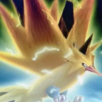 Zapdos (pokemon của Rayto)
