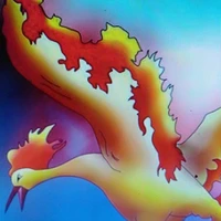 Moltres (pokemon của Rayto)