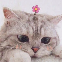 Mei đáng ghéc lắm luôn nèeeee