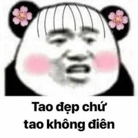 Bà Tác giả đẹp gái