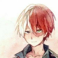 Todoroki Shouto