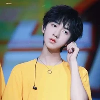 Hạ Tuấn Lâm