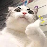 Tác giả