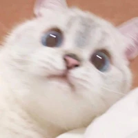 tác giả ít nói =)))