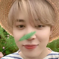 Part Jimin (vk suga)