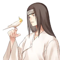 Hyuga Neji