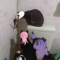 N.v phụ vai gì cũng đóng