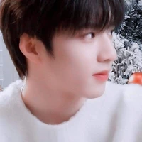 Lưu Diệu Văn