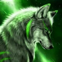 Grey Wolf [hệ thống 001]