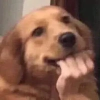 Nguyễn Thị Dog Cutehotme;))✨👉👈