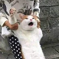 Tác giả đang lên cơn điên vì môn hóa