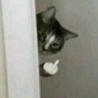 Hệ thống ( tiểu tinh)