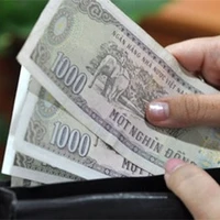 tác giả rất GIÀU