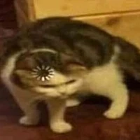 Tuôi là tác giả cute đayyy 😌