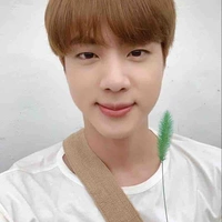 Kim SeokJin
