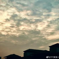 Hoàng Thiên Linh_TG
