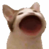 Mặc  Mặc