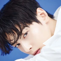 Cha Eun Wo